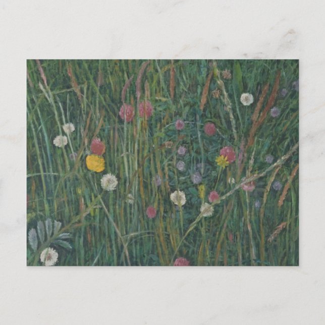Postal Plantas del Machair 2008 (Anverso)
