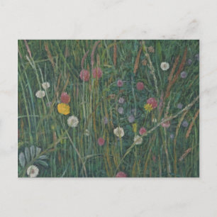 Postal Plantas del Machair 2008