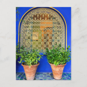 Postal Plantas en Macetas en el Jardín