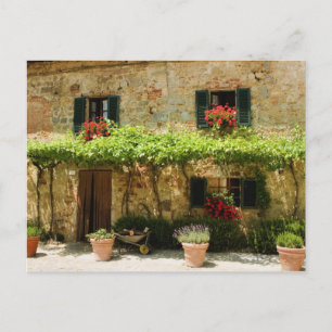 Postal Plantas postizas fuera de una casa, Piazza Roma,
