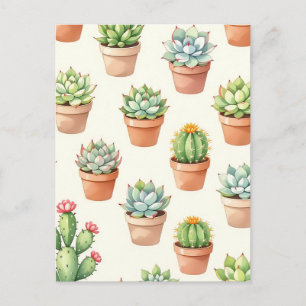 Postal Plantas Suculentas Patrón Continuo Macetas de Terr