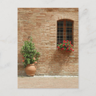Postal Plantas toscanas