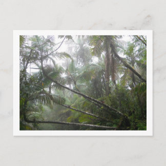 Postal Plantas tropicales en el bosque tropical nacional 