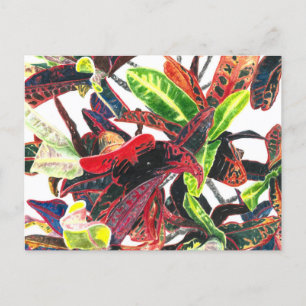 Postal Plantas tropicales Foliage Red Green Yellow Waterc
