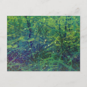 Postal Plantas verdes y luces