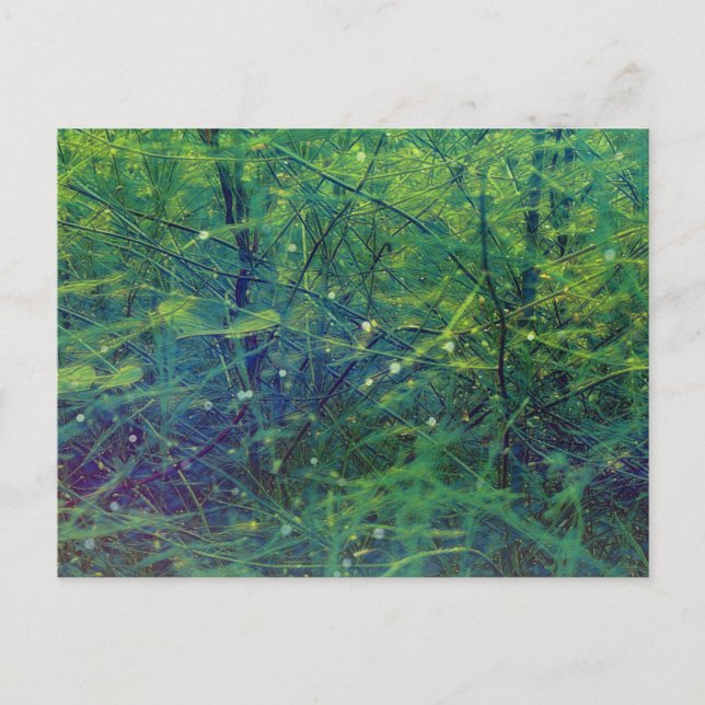 Postal Plantas verdes y luces (Anverso)