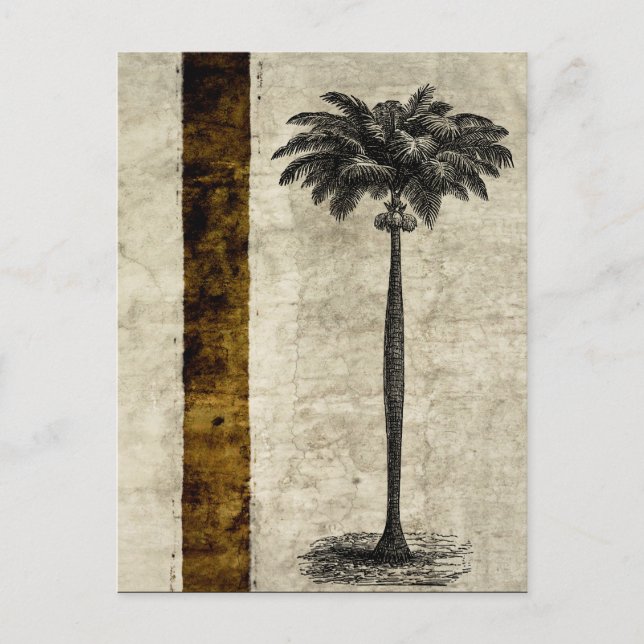Postal Plantilla de árbol de palmas de la isla tropical v (Anverso)