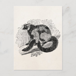 Postal Plantilla de Ilustracion de Lemur de la época vint