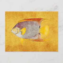 Postal Plantilla de impresión antigua hawaiana para peces