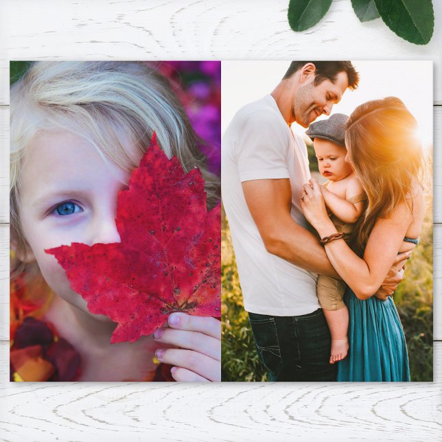 Postal Plantilla de impresión de borde fotográfico de pos (Subido por el creador)