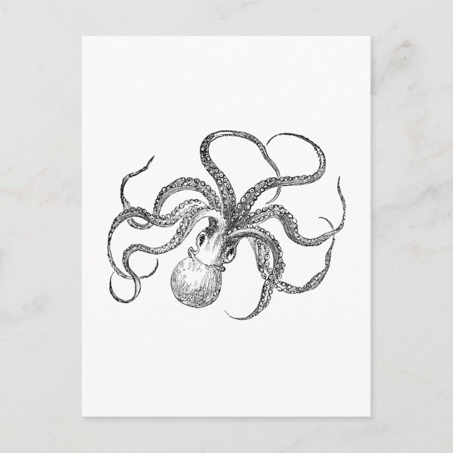 Postal Plantilla de pulpo vintage (Anverso)