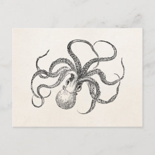 Postal Plantilla de pulpo vintage sobre papel antiguo