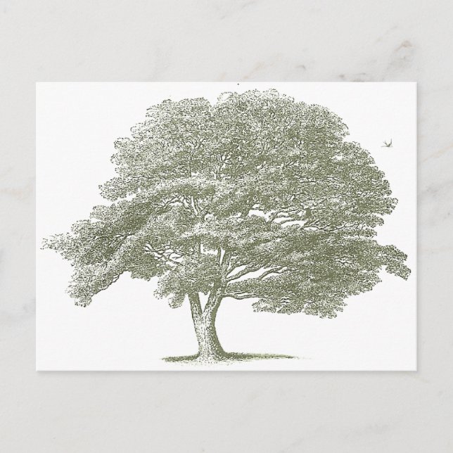 Postal Plantilla gráfica de árbol de bodas elegante (Anverso)