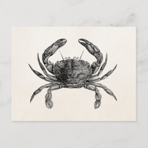Postal Plantilla Personalizada de Cangrejos Antiguos Cang