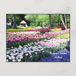 Postal Plantilla postal, jardines florales