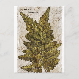 Postal Plantilla tropical de helechos botánicos verdes