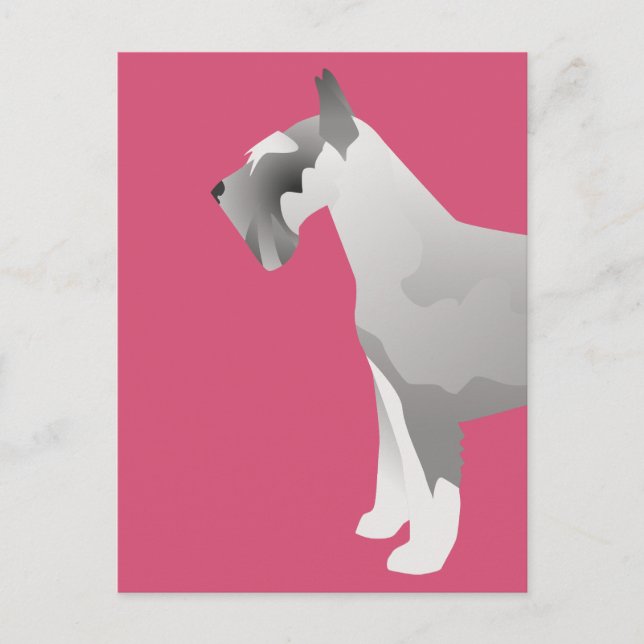 Postal Plantillas Schnauzer preparadas para el Personaliz (Anverso)