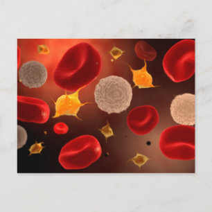 Postal Plaquetas Con Glóbulos Rojos 2