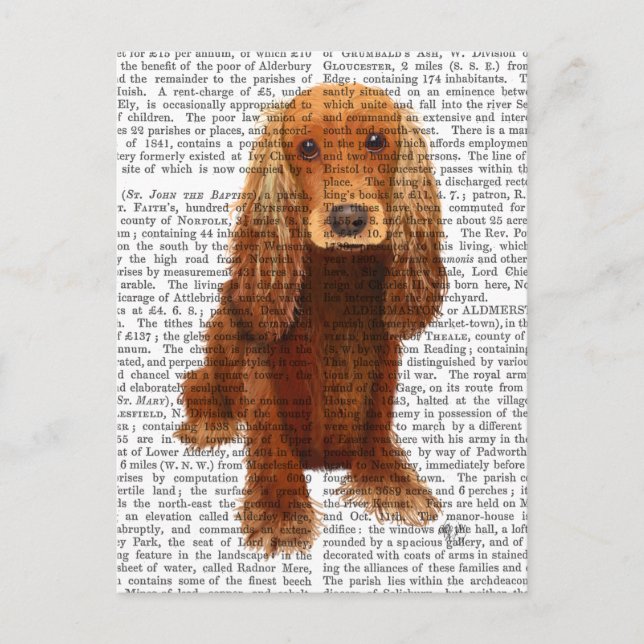 Postal Plata de Cocker Spaniel (Anverso)