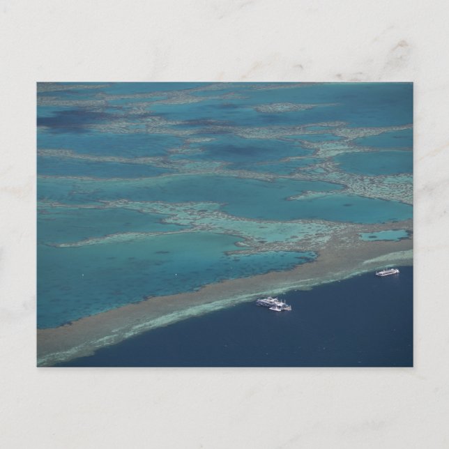 Postal Plataformas de buceo cerca del arrecife, Gran Barr (Anverso)