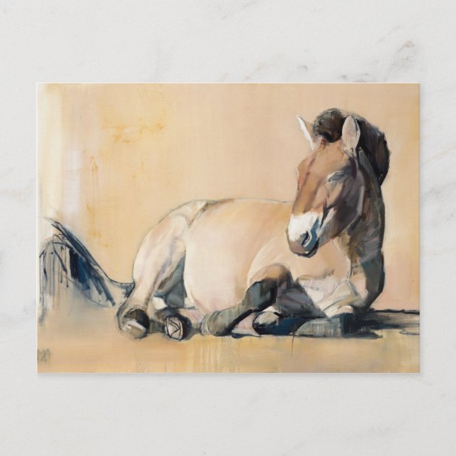 Postal Plateau Sun (Anverso)