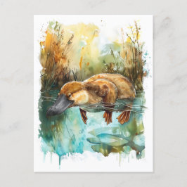 Postal Platypus acuarela Natación en estanque