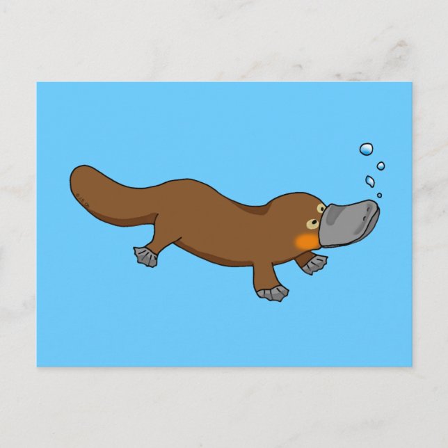 Postal Platypus cute (Anverso)