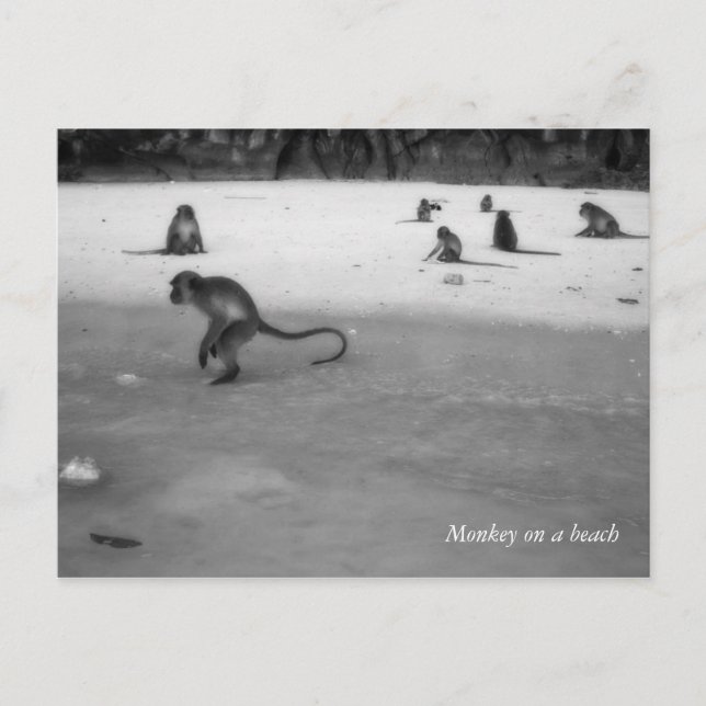 Postal Playa (Anverso)