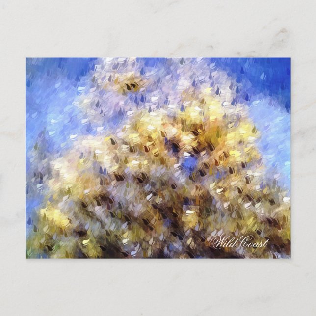 POSTAL PLAYA (Anverso)