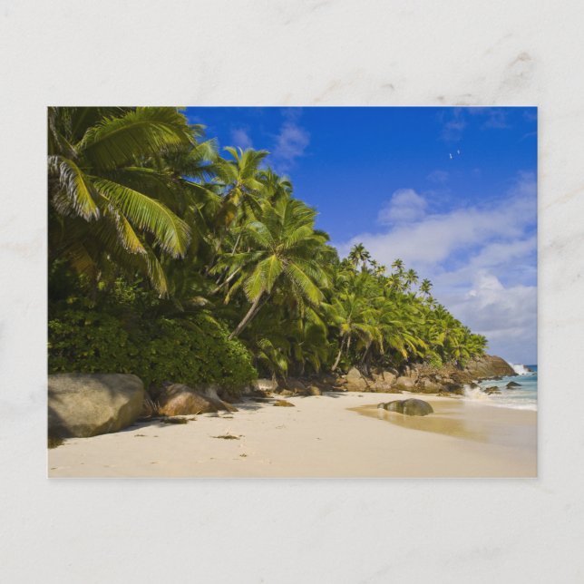 Postal Playa Anse Victorin 3 (Anverso)