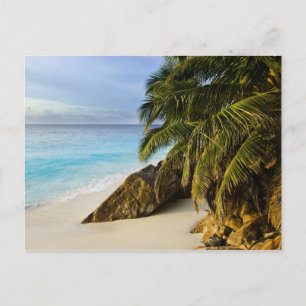 Postal Playa Ansi Victorin