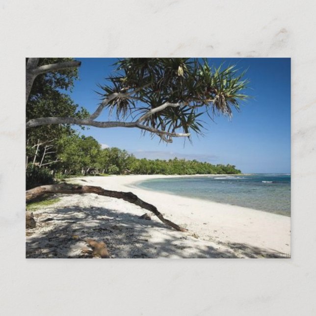 Postal Playa australiana (Anverso)