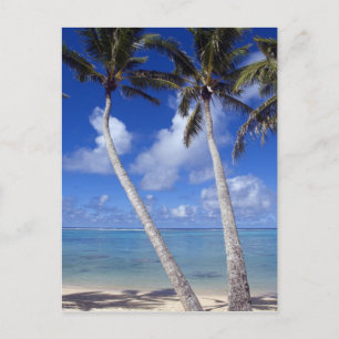 Postal Playa bordeada de palmeras Islas Cook