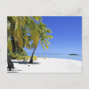 Postal Playa bordeada de palmeras Islas Cook 3