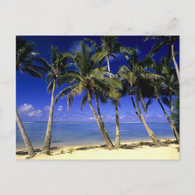 Postal Playa bordeada de palmeras Islas Cook 4 (Anverso)