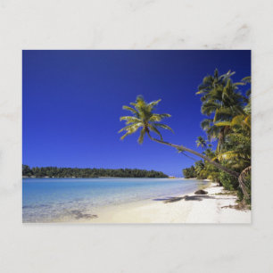 Postal Playa bordeada de palmeras Islas Cook 5