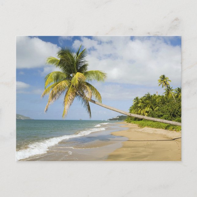 Postal Playa Coconut Grove en Cades Bay, con St. 2 (Anverso)