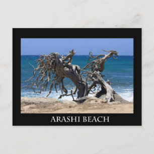Postal playa de arashi 2