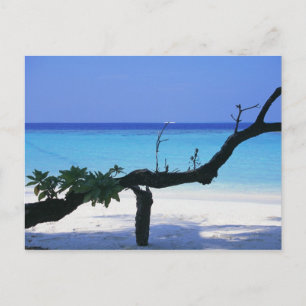 Postal Playa de arena 8