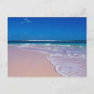 Postal Playa de arena rosa en Conch Bay, Cat Island,