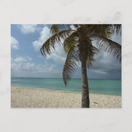 Postal Playa de Aruba I Bella Escena Natural