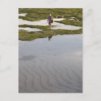 Postal Playa de Bali