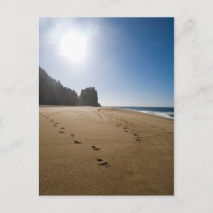 Postal Playa de Cabo San Lucas 3