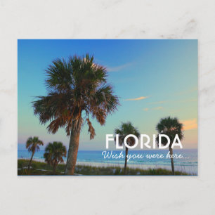 Postal Playa de Ciudad de Panamá, Florida Desearía Estar