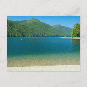 Postal Playa de Cushman del lago
