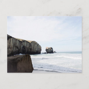 Postal Playa de Dunedin