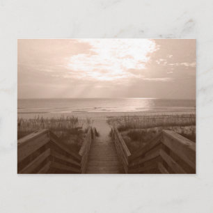 Postal Playa de Florida