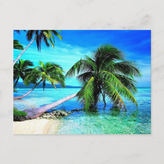 Postal Playa de Isla Tropical Palm Tree (Anverso)