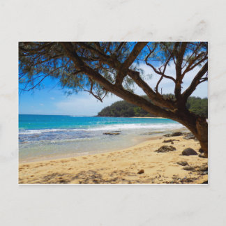 Postal Playa de Kauai