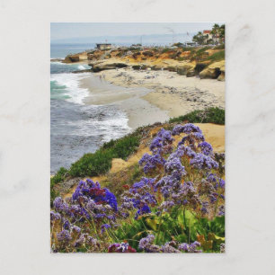 Postal Playa De La Jolla Cove